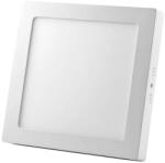 NEDES ND0046